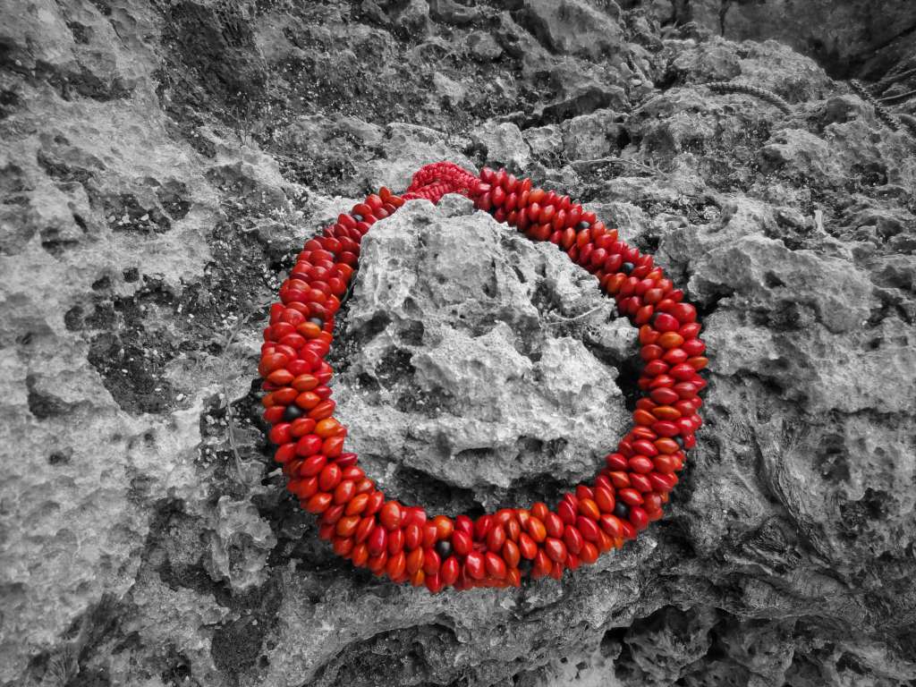 Collier de corail végétal, graine rouge de cardinalier, graines de tolloman