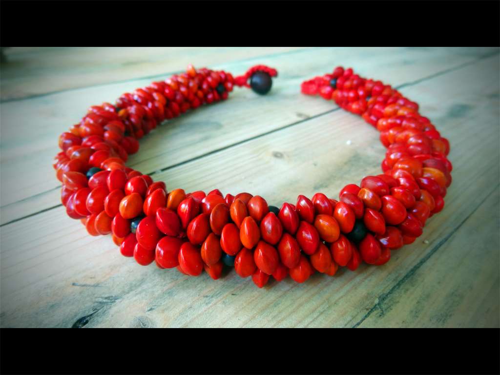 Collier de corail végétal graine rouge de cardinalier, graines noires de tolloman