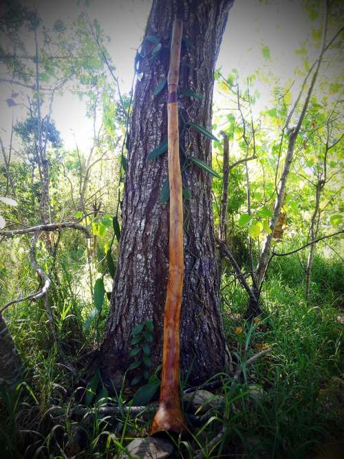 Didgeridoo Nendj
